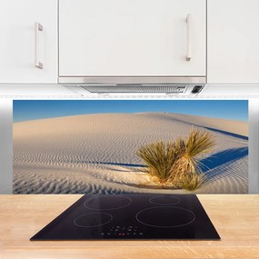Panel Kuchenny Piaszczysty Pejzaż Pustynny
