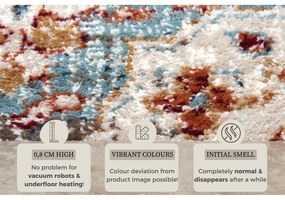 Dywan 80x120 cm Orient Strozzi – Hanse Home