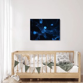 Obraz na szkle - Meduza (70x50 cm)