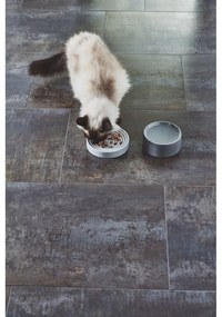 Porcelanowa miska dla kotów ø 14 cm Fresco Concrete S – MiaCara
