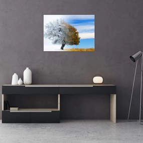 Obraz na szkle - Zmiana pór roku (70x50 cm)