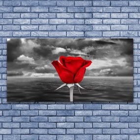 Obraz na płótnie Dzika Róża nad Brzegiem Morza