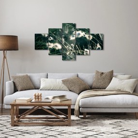 Obraz - Pajęczyna (125x70 cm)
