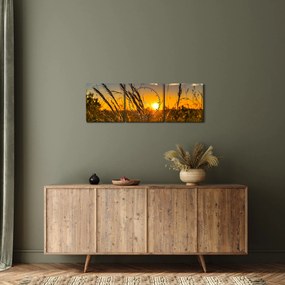Obraz pola o zachodzie słońca (z zegarem) (90x30 cm)