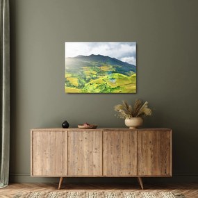 Obraz na szkle - plantacja (70x50 cm)