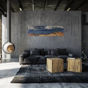 Obraz - kaktusy w przyrodzie (170x50 cm)
