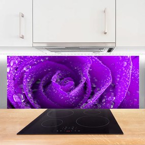 Panel Kuchenny Róża Kwiat Roślina