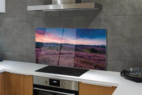 Panel Kuchenny Szklany Pejzaż z Wrzosami