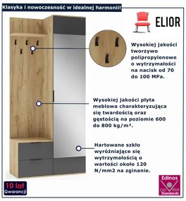Garderoba nowoczesna dąb złoty + antracyt K6-F95