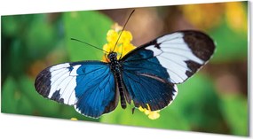 Panel Kuchenny Szklany Egzotyczny Motyl na Płatkach