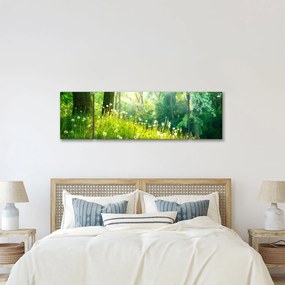 Obraz - Magiczna łąka pełna mniszków lekarskich (170x50 cm)