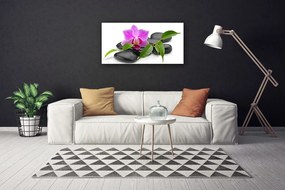 Obraz Canvas Kwiat Orchidea Sztuka