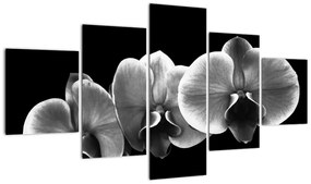 Obraz kwiatu orchidei (125x70 cm)