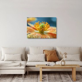 Obraz na szkle - Szczegół kwiatu (70x50 cm)