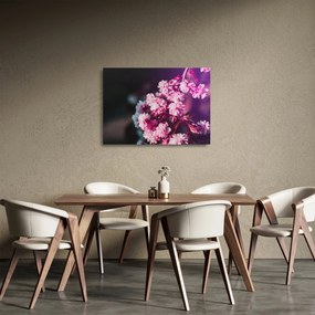 Obraz na szkle - kwiaty drzewa (70x50 cm)