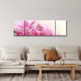 Obraz - Różowe kwiaty (170x50 cm)