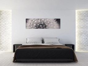 Obraz dmuchawca (170x50 cm)