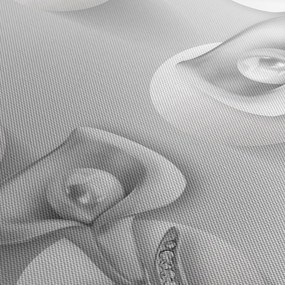 Obraz - kwiatowy wzór (170x50 cm)
