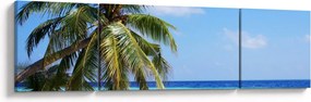 Obraz palmy na plaży (170x50 cm)