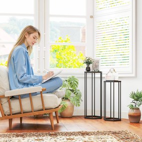 Outsunny 2-częściowy zestaw stojaków na rośliny do wnętrz i na zewnątrz, heksagonalne metalowe uchwyty na doniczki do ogrodu, tarasu, balkonu | Aosom PL