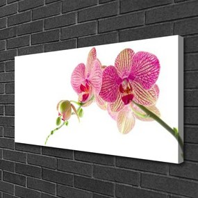 Obraz na płótnie Bukiet Polnych Kwiatów