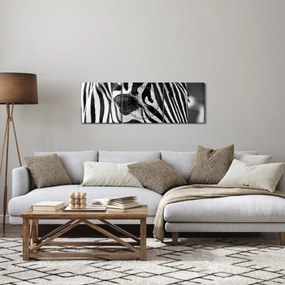 Obraz zebry (z zegarem) (90x30 cm)
