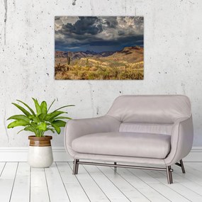 Obraz - kaktusy w przyrodzie (70x50 cm)