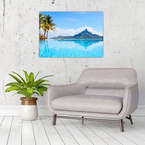 Obraz na szkle - Palmy i plaże (70x50 cm)