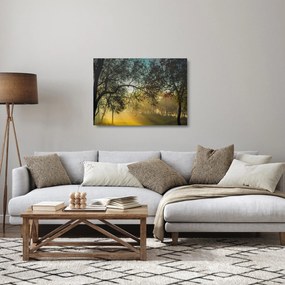 Obraz na szkle - wschód słońca (70x50 cm)