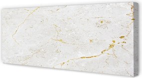 Zdjęcie na płótnie Marmur w Odcieniach Szarości