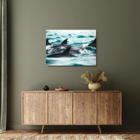 Obraz na szkle - Delfiny w oceanie (70x50 cm)