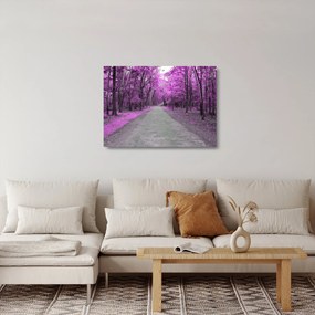 Obraz na szkle - Ścieżka przez park (70x50 cm)