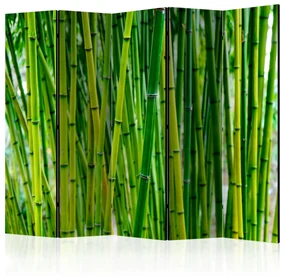 Parawan jednostronny Orient 225x172 cm 5-częściowy zielony ARTGEIST B