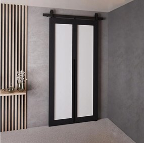 Drzwi Przesuwne QUDIO M1 Czarny + Biały 80