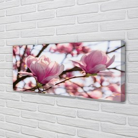 Duży obraz na płótnie Drzewa Magnolii