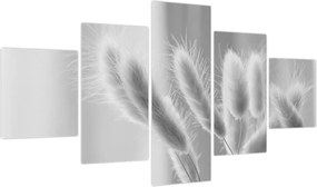Obraz - Trawa z króliczym ogonkiem (125x70 cm)