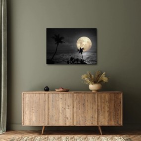 Obraz - Plaża pod pełnią księżyca w odcieniach szarości (70x50 cm)