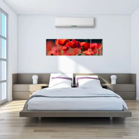 Obraz - maki (170x50 cm)