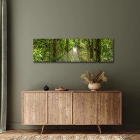 Obraz - Most wiszący (170x50 cm)