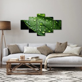 Obraz - Liść po deszczu (125x70 cm)