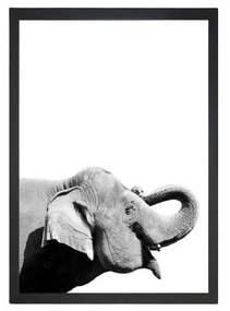 Obraz 24x29 cm Damarion Elephant – Vavien Artwork