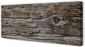 Zdjęcie na płótnie Surowe Drewno Z Sękami