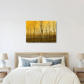 Obraz na szkle - Plantacja drzew (70x50 cm)
