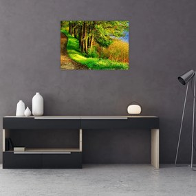 Obraz szlaku wzdłuż wody (70x50 cm)