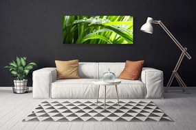 Obraz canvas Świeżość Poranka: Trawa i Rosa