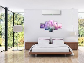 Obraz - Lawenda w słońcu (125x70 cm)