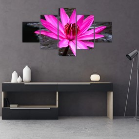 Obraz - różowy kwiat (125x70 cm)