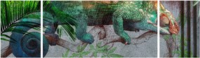 Obraz - Kameleon (170x50 cm)