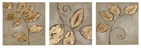 Obrazy zestaw 3 szt. 30x30 cm – Wallity
