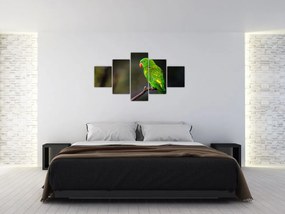 Obraz papugi na gałęzi (125x70 cm)